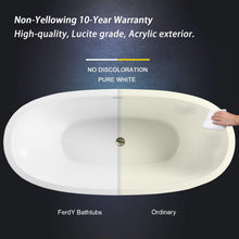 Load image into Gallery viewer, Naha 67" x 31" freestanding bath with brushed nickel drain - FERDY BATH