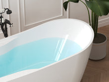 Load image into Gallery viewer, Lana'i 67" freestanding oval bathtub with brushed nickel drain
